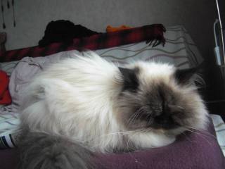 Et un bisou à sa remplaçante qui sait pas encore ce qui l'attend...    Et un bisou à sa remplaçante qui sait pas encore ce qui l'attend...