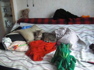 A l'origine, c'est Horus qui aurait dû faire le commentaire final, mais  je crois qu'il a été arrêté par sa timidité et la lourdeur de sa digestion...   :)   A l'origine, c'est Horus qui aurait dû faire le commentaire final, mais  je crois qu'il a été arrêté par sa timidité et la lourdeur de sa digestion...   :)