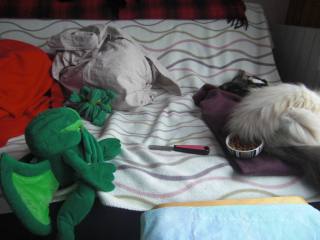 A l'origine, ce n'était pas  nez, mais un orifice non euclidien que j'ai préféré censurer...   A l'origine, ce n'était pas  nez, mais un orifice non euclidien que j'ai préféré censurer...