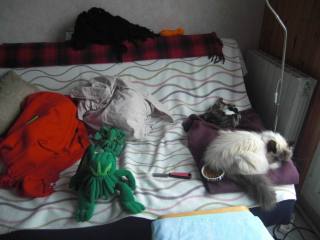 Oui, je parle bien du poulpe...    Oui, je parle bien du poulpe...