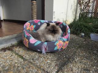 Enfin, j'ai envie de me dire...   Mais bon :)   