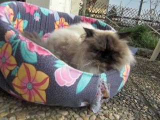 Elle partira avant ses dix ans, mais bon...    Elle partira avant ses dix ans, mais bon...