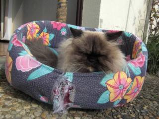 On peut quand même voir qu'elle n'est pas malheureuse, hein...   On peut quand même voir qu'elle n'est pas malheureuse, hein...