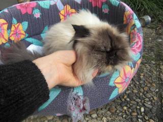 Sans déconner...   Sans déconner...