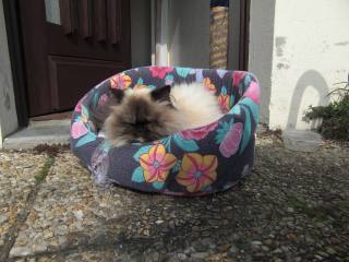 Ni Horus...  Ni Horus...